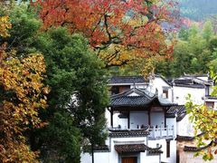 -塔川景区