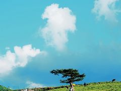 -芦芽山旅游度假区
