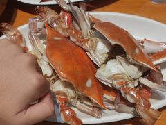 -金海湾海鲜排档(朱家尖店)
