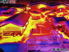 -营信刘罗锅铁锅炖(建华店)