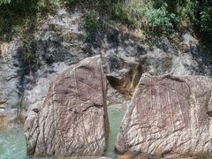 -广州白江湖森林公园