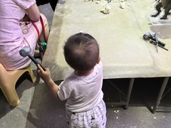 -陕西自然博物馆