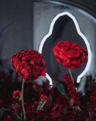 点击看大图 -深圳香格里拉大酒店·宴会厅