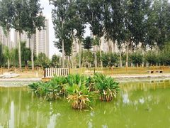 -燕郊植物园
