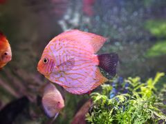 -上海海洋水族馆