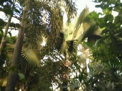 -祥源·阜阳生态乐园