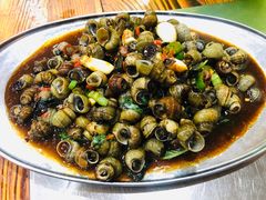 -广宁炭炉鸡煲·富临门饭店