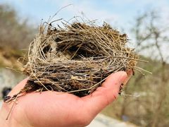 -北京西山国家森林公园