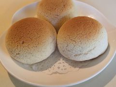 雪顶雄峰-利苑酒家(金宝店)
