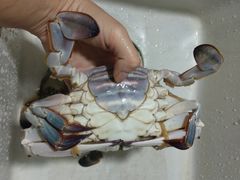 -盒马鲜生(宝地店)