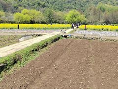 -八卦田遗址公园