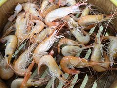 -东胜客河鲜店·西江河鲜·老字號渔家菜