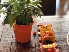 -TOMATITO(无限极荟店)