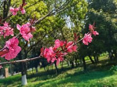 -贵阳市花溪国家城市湿地公园