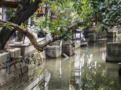 -小洲村