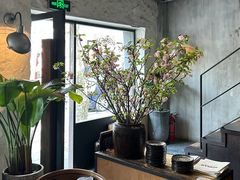 -Apollo·西班牙小酒馆(安福路店)