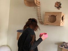 -Meowの猫咖(万家丽店)