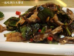 折耳根拌鸡爪-金龙渔港(双楠店)