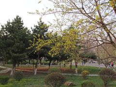 -辽宁大学(崇山校区)