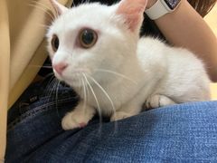 -拜鲁耶动物诊疗中心·宠家动物医院