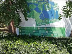 -大兴滨河森林公园