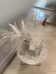 -智美品质医美