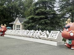 -日照海滨国家森林公园