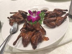 -Imperial Kitchen & Bar 钓小宴私房菜