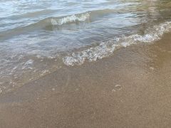 -碧海金沙