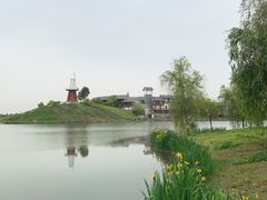 -金卉庄园
