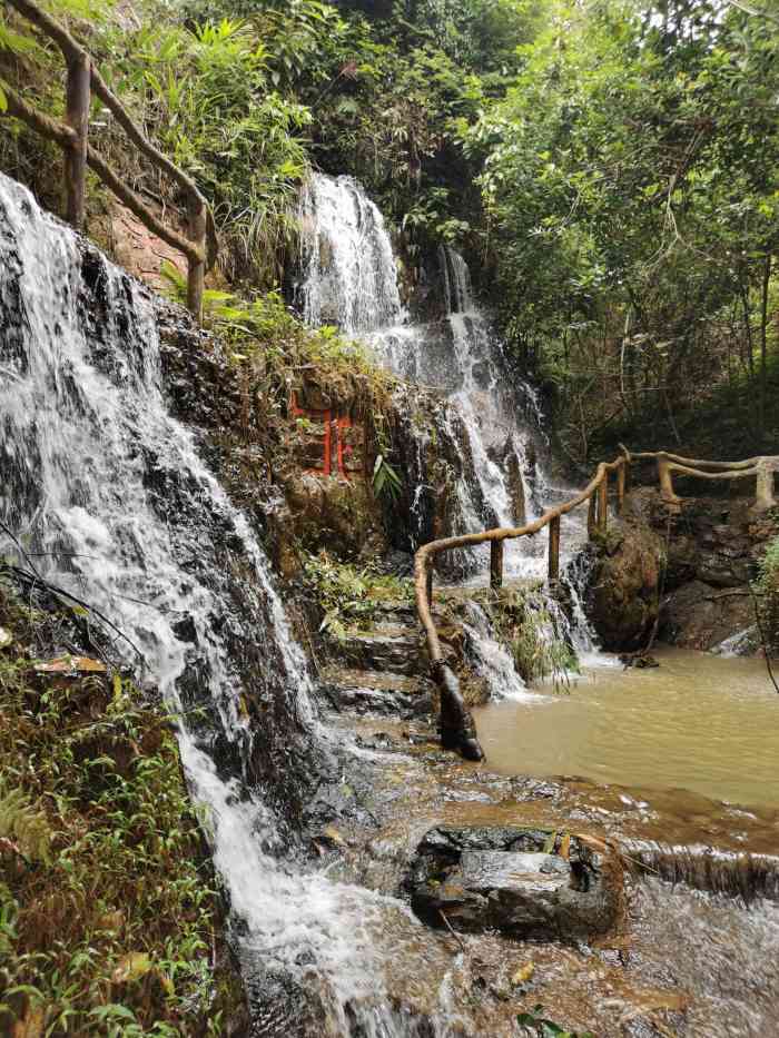 南宁凤凰谷景区-"昨天跟家人一起自驾去的,非常难得家人都有.