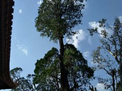 -大理文庙(大理古城)