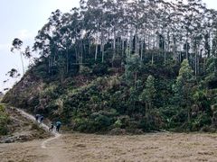 -黄埔油麻山森林公园