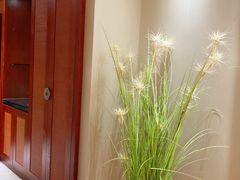 -韶关经律论国际酒店温泉