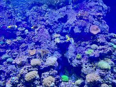 -江和美海洋公园