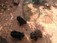 -昆明动物园