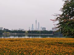 -海珠湖公园