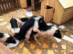 -HERRE·FARM 赫尔露营农场·团建聚会包场