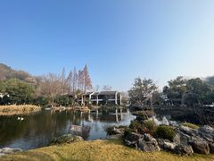 -杭州雅谷泉山庄酒店-餐厅