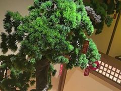 -揽季锅物会.福建黄鱼.海鲜姿造(五四路店)