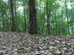 -三门江国家森林公园