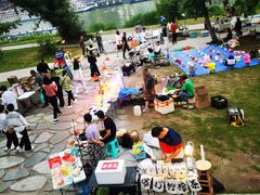 -重庆市江北嘴中央商务区中央公园