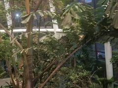 -上海跨国采购会展中心