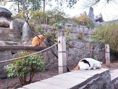 -颐和园