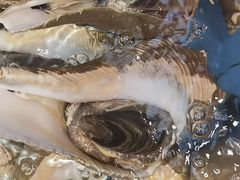 -吴记富苑(朝阳店)