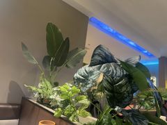 -丁虎子烤肉(国道二店)