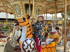 -上海海湾国家森林公园