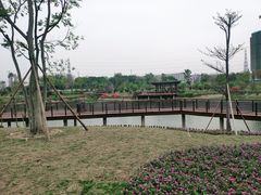 -王借岗森林公园
