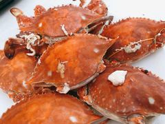 -兆辉木炭海鲜烧烤·海鲜小炒