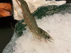 -熹悟海鲜火锅·广式打边炉